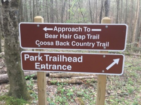 Vogel State Park Trail