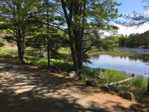 Acadia Park Biking View